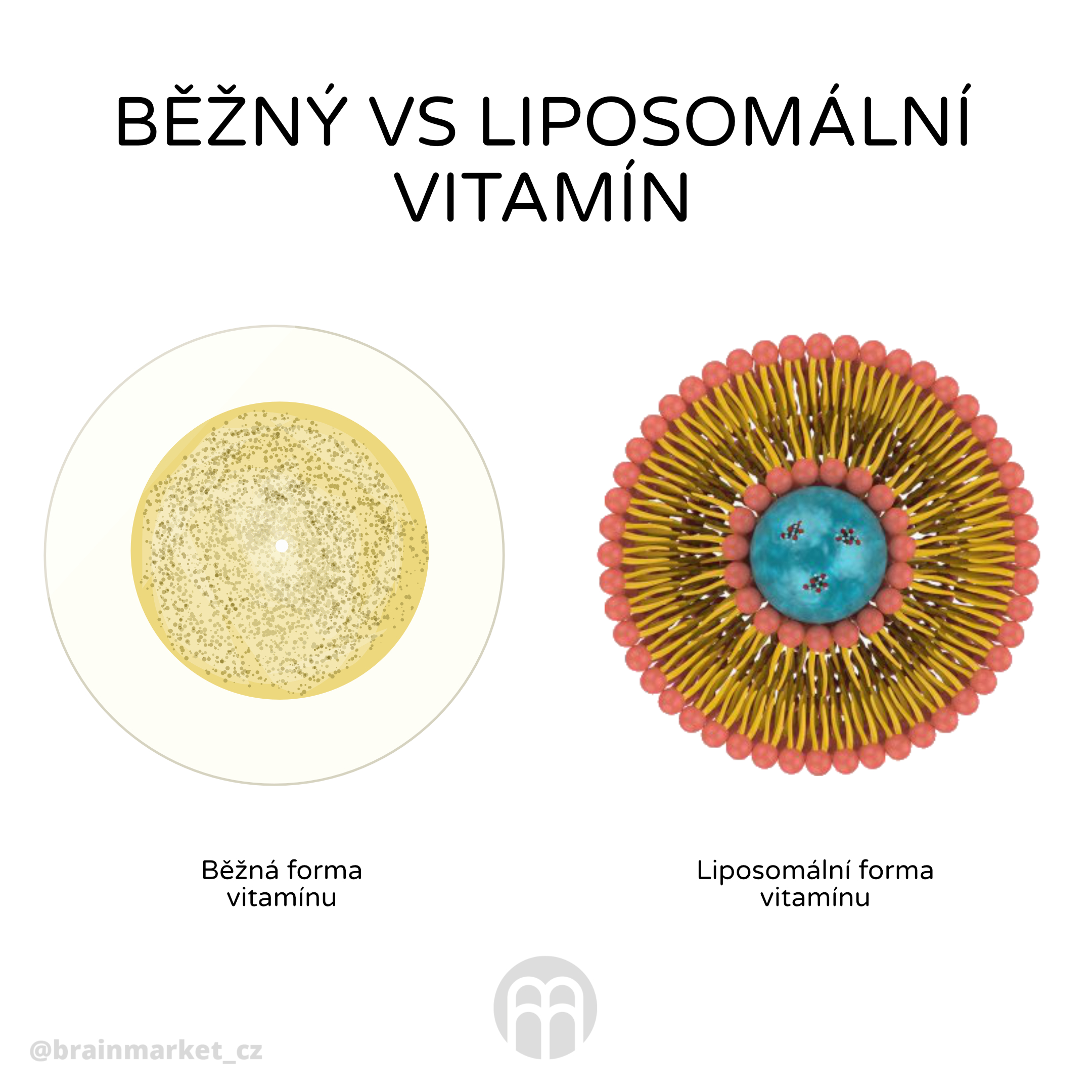 prirodni vs synteticky vitamin C_cz